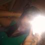Theresa Reyes Photo 27