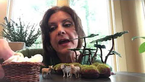 Lori Moses Photo 26