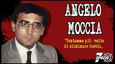 Angelo Moccia Photo 15