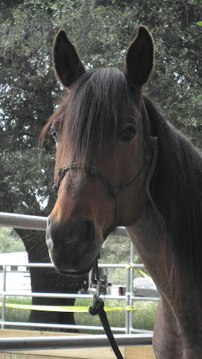 Cynthia Funk Photo 5
