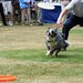Richard Collie Photo 28
