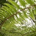 Ba Dao Photo 25