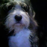 Barney Roberts Photo 3