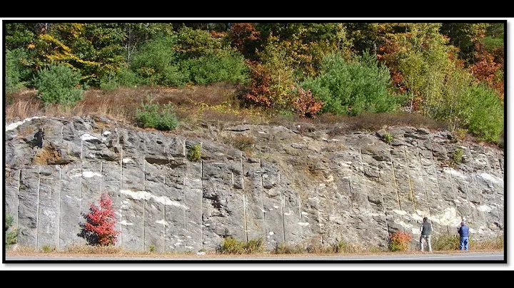 Irving Greenfield Photo 7