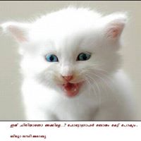 Bobby Abraham Photo 8