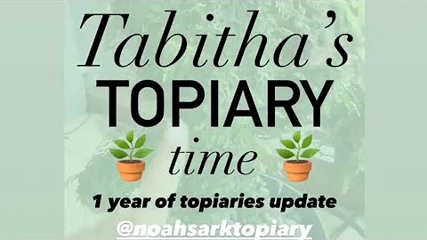 Tabitha Moss Photo 25