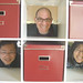 Steve Hayashi Photo 14