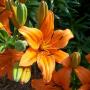 Autumn Warren Photo 22