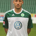 Fabian Johnson Photo 35