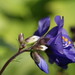 Jacob Flowers Photo 37