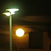 Barbara Wolf Photo 49