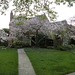 Thomas Conger Photo 21