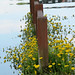 Chad Flood Photo 31