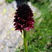 Richard Daher Photo 15