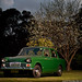Matthew Hillman Photo 22