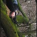 Heide Anderson Photo 17