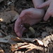 Rick Morel Photo 23