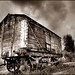 Tony Rust Photo 35