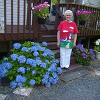 Nancy Fitch Photo 4