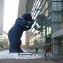 Max Becker Photo 22