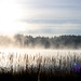 David Huynh Photo 41