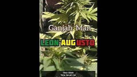 Augusto Leon Photo 28