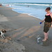 Ann Beach Photo 28