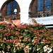 Geneva Bush Photo 20