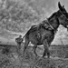 Mark Palos Photo 31