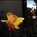 Nicolas Quezada Photo 25