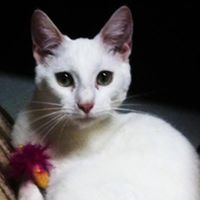Debbie Jenson Photo 2