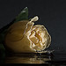 Ahmad Saleh Photo 34