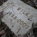 Miles Murphy Photo 36
