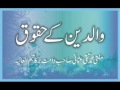 Muhammad Taqi Photo 28