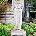Dolores Allan Photo 16