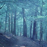 John Hopton Photo 2
