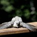 Kathy Tufts Photo 20