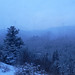 Song Pan Photo 15