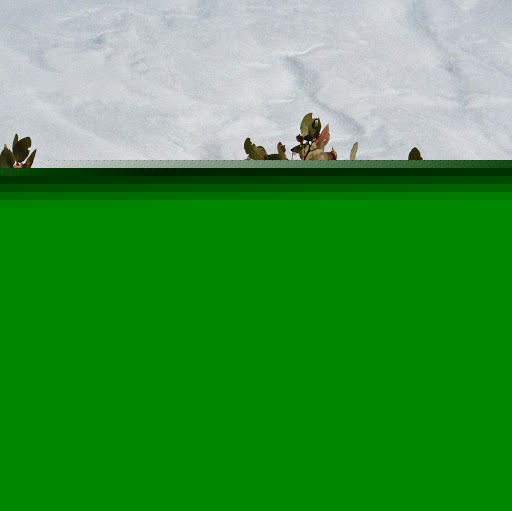 Tony Nader Photo 12