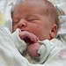 Daniel Zachary Photo 30