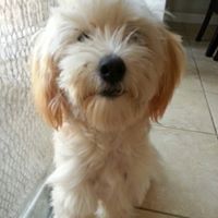 Ruben Angeles Photo 3