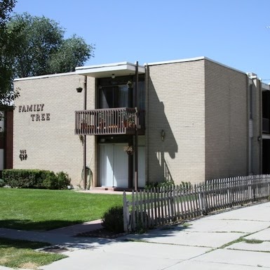 Amy Scoville Photo 4