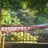 Carolyn Chang Photo 16