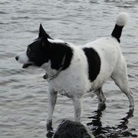 Nellie Russell Photo 1