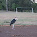 Karen Stork Photo 26