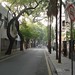 Dong Zhou Photo 31