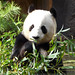 Yun Gao Photo 27