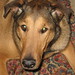 Larry Conner Photo 43