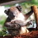 Barry Havens Photo 16