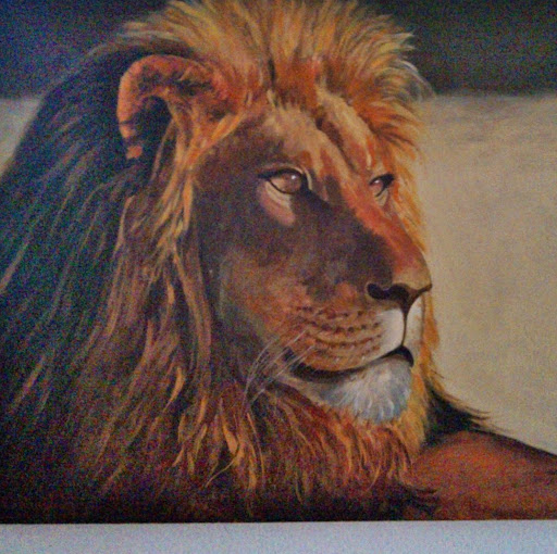 Jesus Machin Photo 10